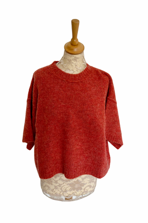 Short Sleeve Knit Sweater Size XS/ S - BNWT